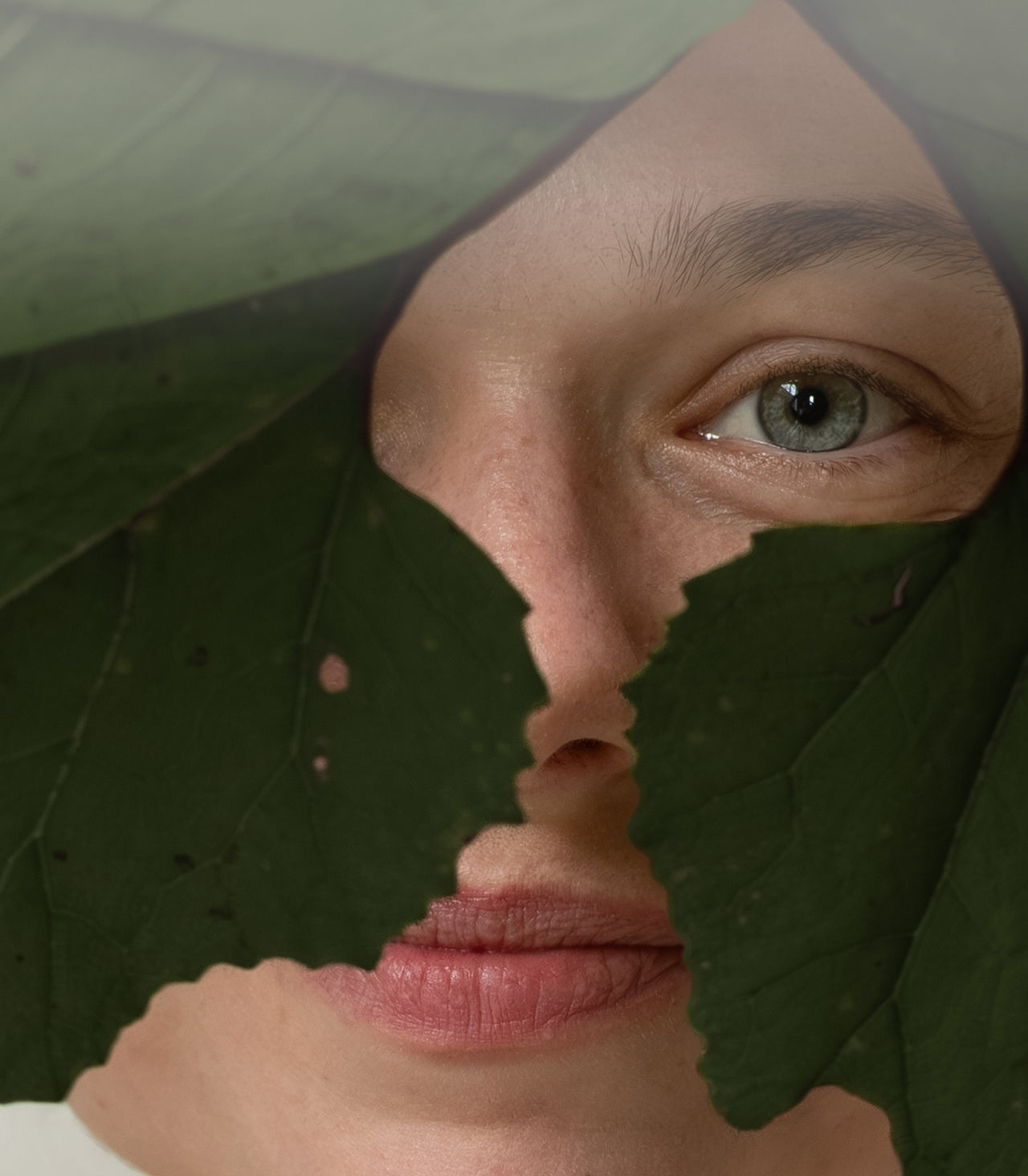 Des substances vitales pour des yeux en bonne santé Des substances vitales pour des yeux en bonne santé