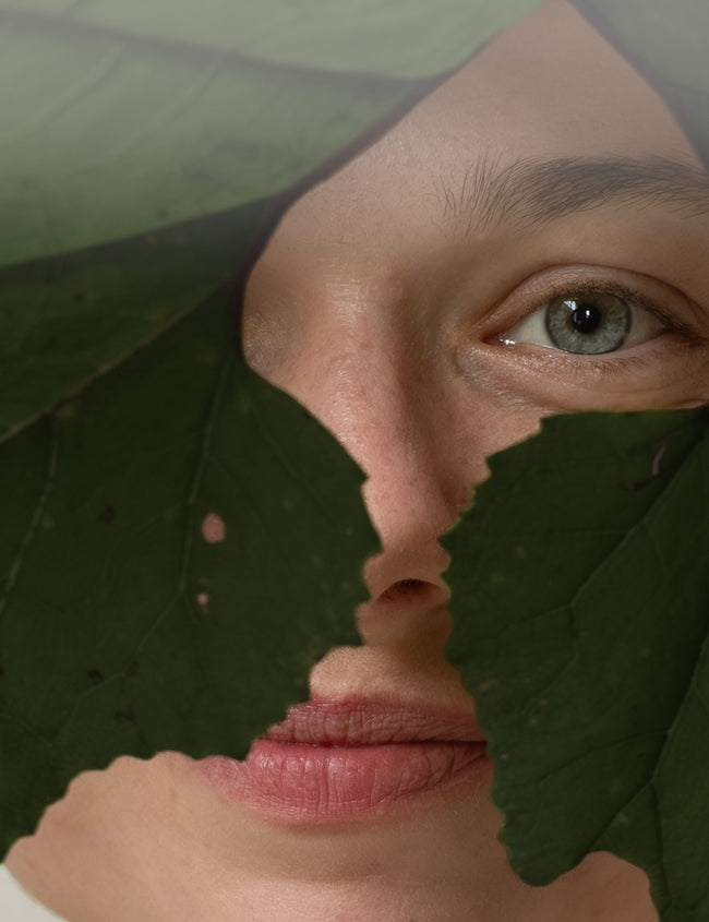 Des substances vitales pour des yeux en bonne santé Des substances vitales pour des yeux en bonne santé