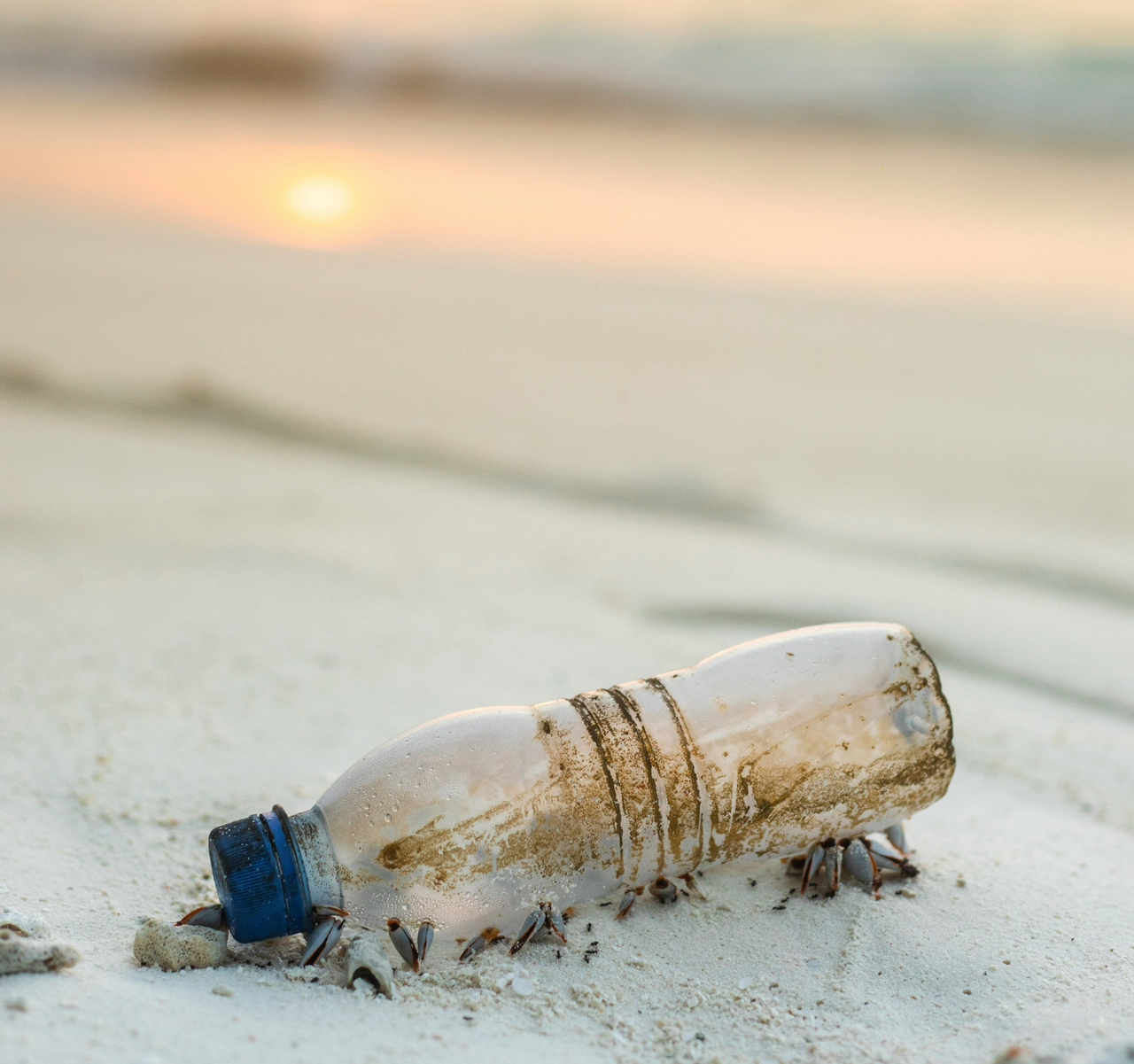 Comment les microplastiques nuisent à la santé Comment les microplastiques nuisent à la santé