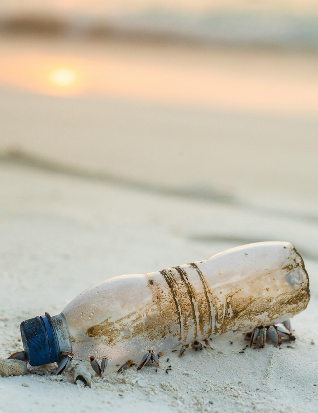 Comment les microplastiques nuisent à la santé Comment les microplastiques nuisent à la santé