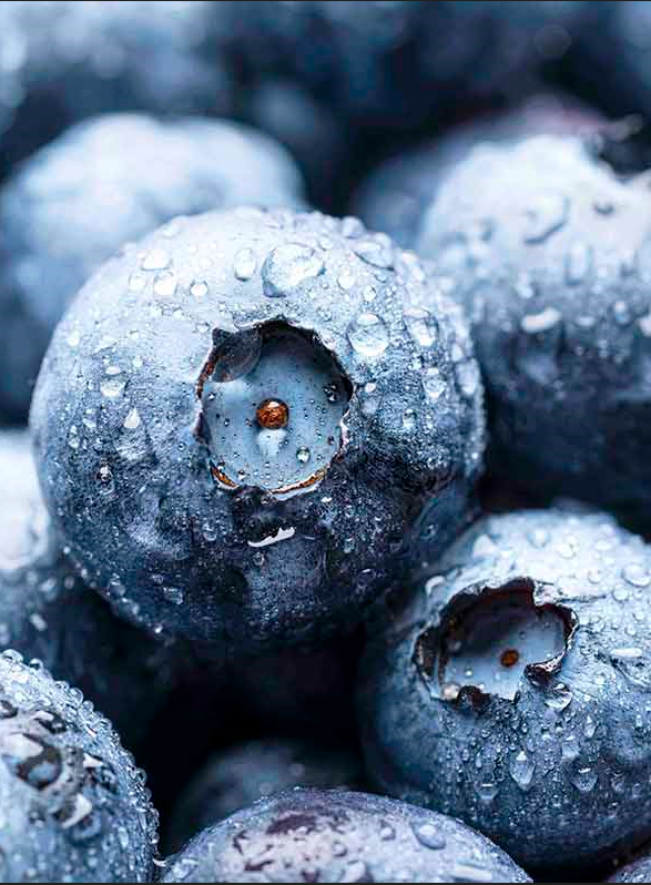 Stress oxydant, antioxydants et vieillissement : une relation triangulaire compliquée Stress oxydant, antioxydants et vieillissement : une relation triangulaire compliquée