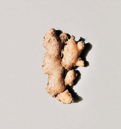 Le foie – le multitalent de notre corps Le foie – le multitalent de notre corps