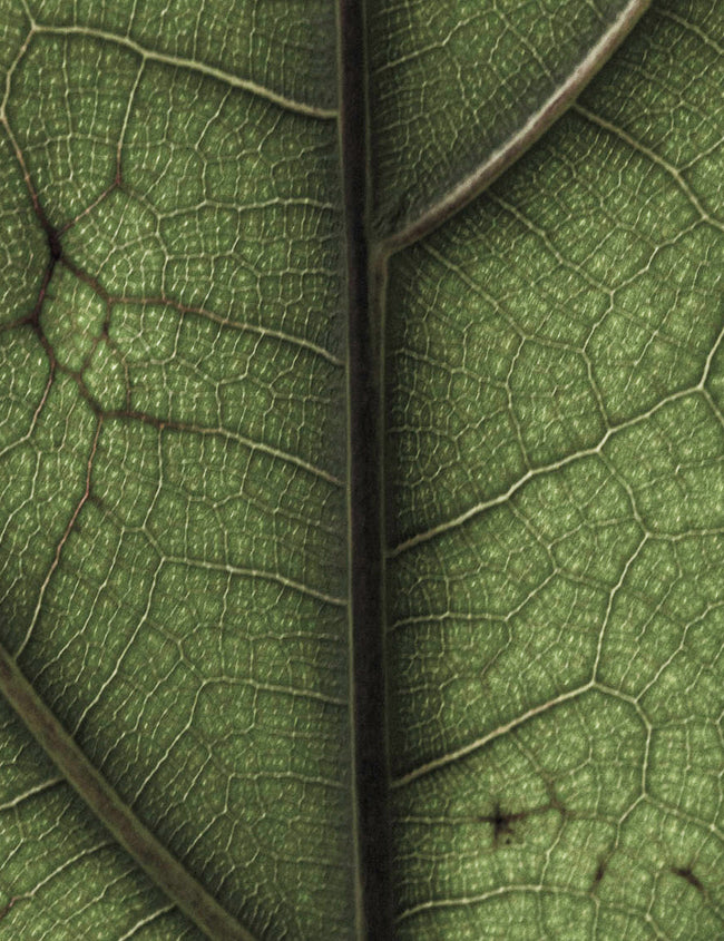 Pour renforcer votre santé cardiovasculaire Pour renforcer votre santé cardiovasculaire