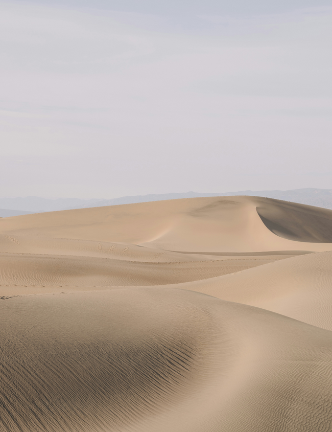 Approche holistique de l'ostéoporose Approche holistique de l'ostéoporose