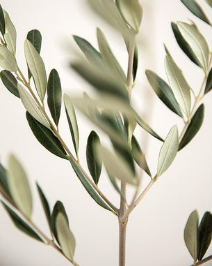 Autres compléments alimentaires Autres compléments alimentaires