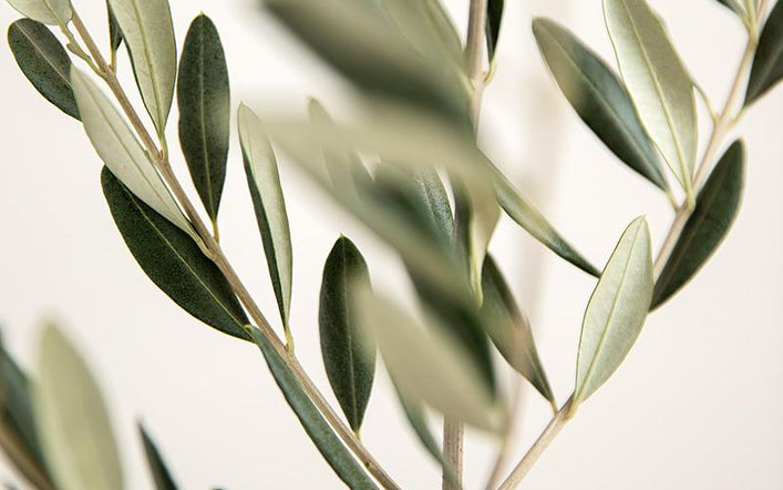 Autres compléments alimentaires Autres compléments alimentaires