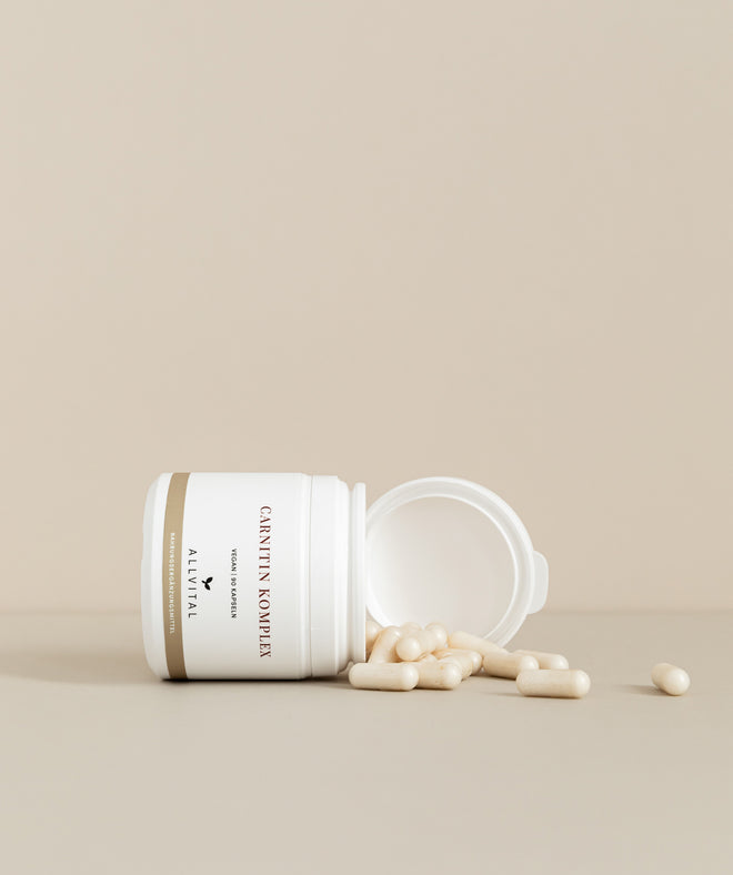 Allvital Carnitin Komplex contient du tartrate de L-carnitine pour une tolérance gastro-intestinale optimale. Il contient en outre de la vitamine C, de la vitamine B3 et de la vitamine B6. Allvital Carnitin Komplex contient du tartrate de L-carnitine pour une tolérance gastro-intestinale optimale. Il contient en outre de la vitamine C, de la vitamine B3 et de la vitamine B6.