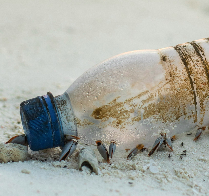 Comment les microplastiques nuisent à la santé Comment les microplastiques nuisent à la santé