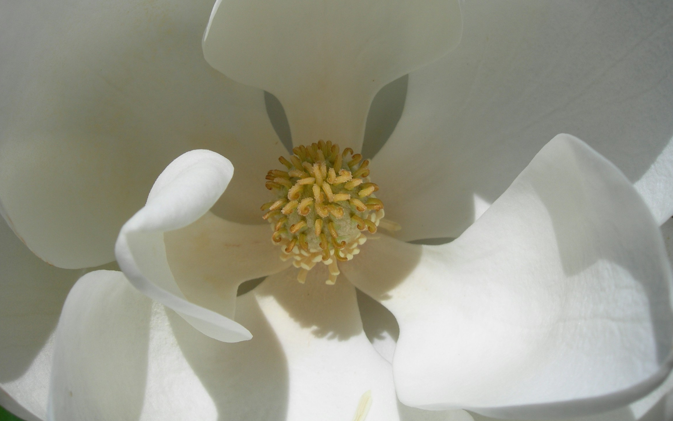 10 conseils pour des muqueuses saines 10 conseils pour des muqueuses saines