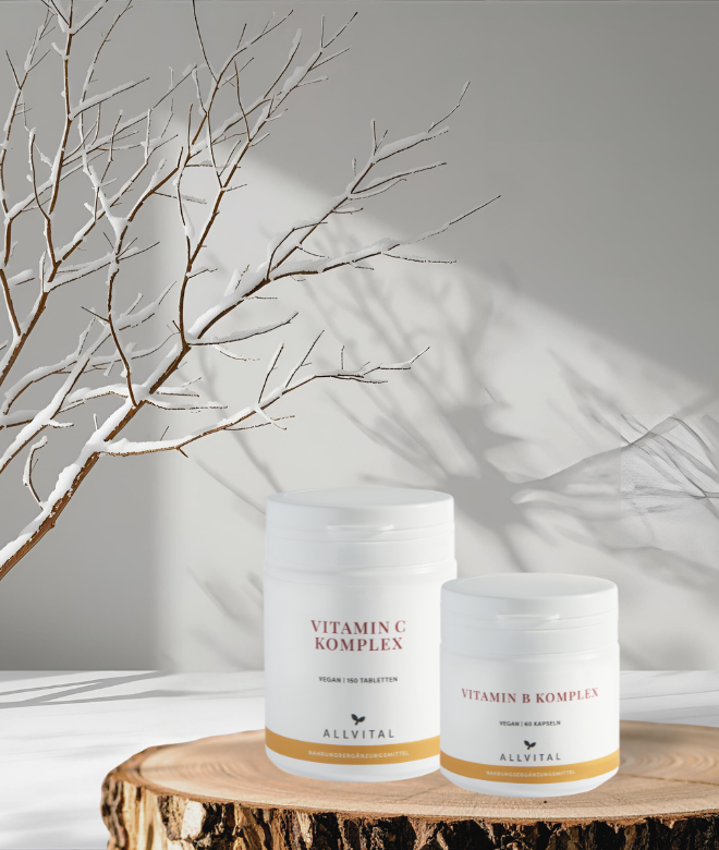 Winter Basic Bundle Winter Basic Bundle