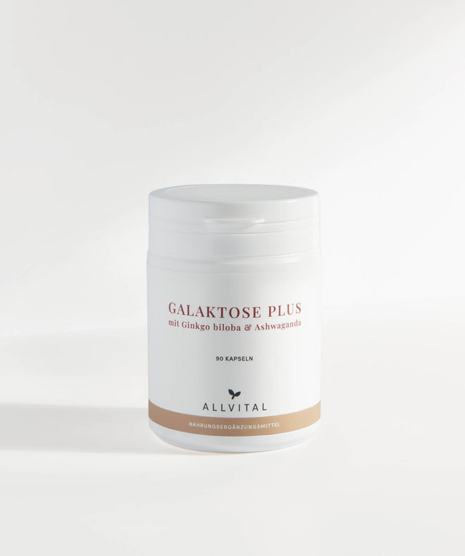 Allvital Galactose Plus en combinaison avec des vitamines B et avec ginkgo biloba et ashwaganda, pour un système nerveux et un psychisme sains. Allvital Galactose Plus en combinaison avec des vitamines B et avec ginkgo biloba et ashwaganda, pour un système nerveux et un psychisme sains.