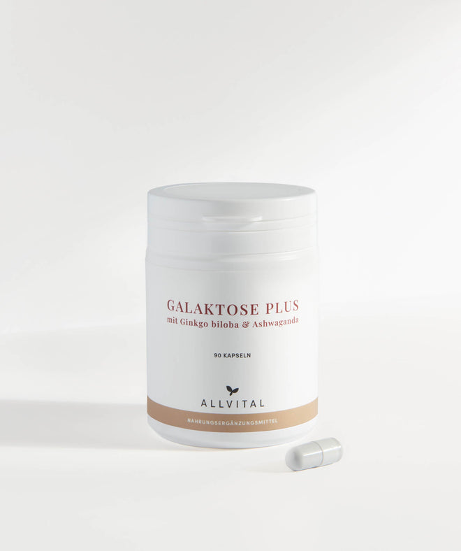Allvital Galactose Plus en combinaison avec des vitamines B et avec ginkgo biloba et ashwaganda, pour un système nerveux et un psychisme sains. Allvital Galactose Plus en combinaison avec des vitamines B et avec ginkgo biloba et ashwaganda, pour un système nerveux et un psychisme sains.