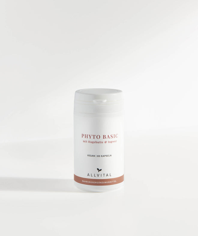 Allvital Phyto Basic avec cynorrhodon et gingembre. Le cynorrhodon favorise un système immunitaire sain et une bonne digestion. Allvital Phyto Basic avec cynorrhodon et gingembre. Le cynorrhodon favorise un système immunitaire sain et une bonne digestion.
