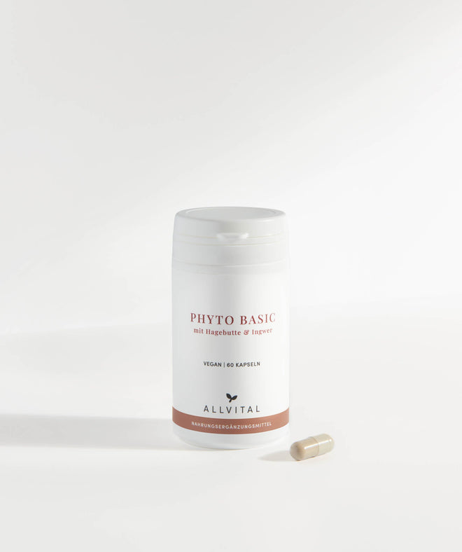 Allvital Phyto Basic avec cynorrhodon et gingembre. Le cynorrhodon favorise un système immunitaire sain et une bonne digestion. Allvital Phyto Basic avec cynorrhodon et gingembre. Le cynorrhodon favorise un système immunitaire sain et une bonne digestion.