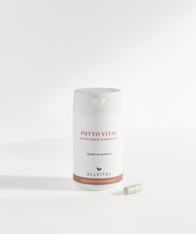 Allvital Phyto Vital contient du moringa, de l'aronia et les acides amines, pour soutenir la vitalité. Allvital Phyto Vital contient du moringa, de l'aronia et les acides amines, pour soutenir la vitalité.