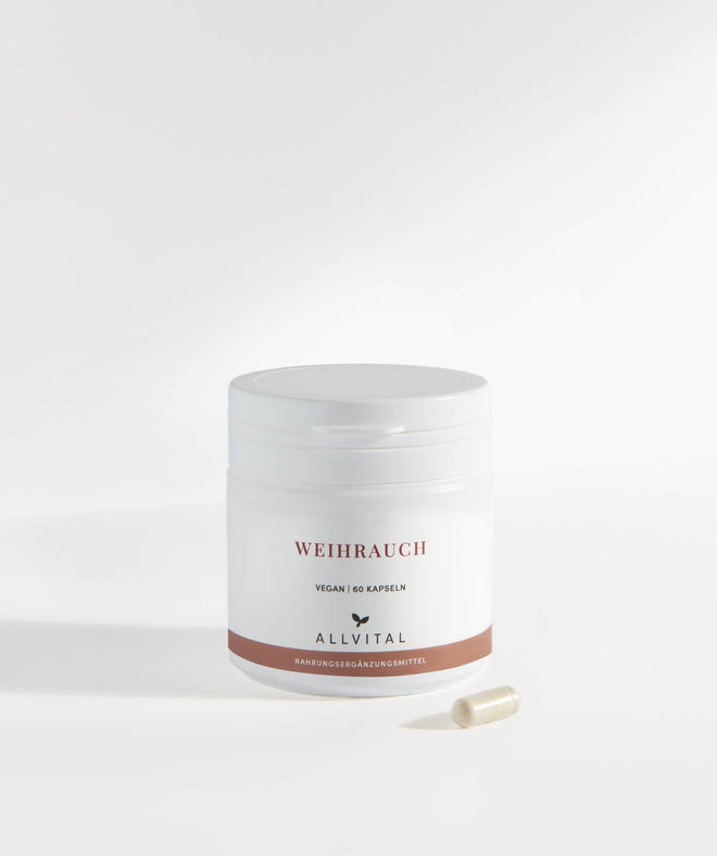 Allvital Encens végétalien contient de l'extrait de Boswellia Serrata (encens indien) avec 85 % d'acides boswelliques. Allvital Encens végétalien contient de l'extrait de Boswellia Serrata (encens indien) avec 85 % d'acides boswelliques.