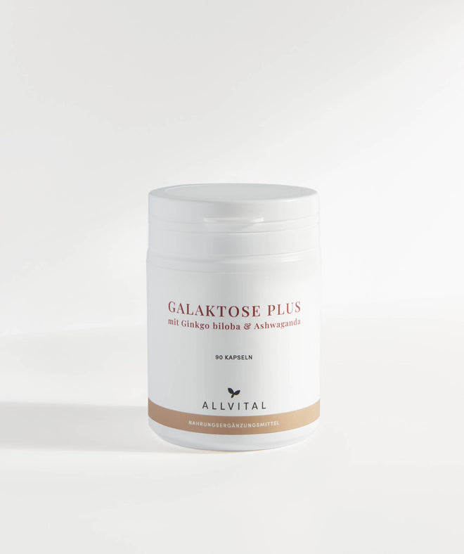 Allvital Galactose Plus en combinaison avec des vitamines B et avec ginkgo biloba et ashwaganda, pour un système nerveux et un psychisme sains.