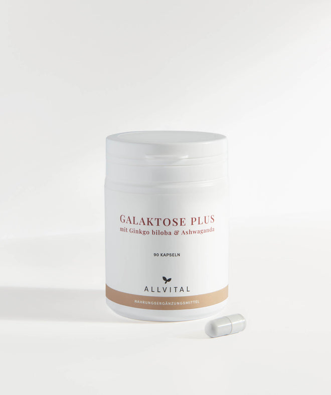 Allvital Galactose Plus en combinaison avec des vitamines B et avec ginkgo biloba et ashwaganda, pour un système nerveux et un psychisme sains.